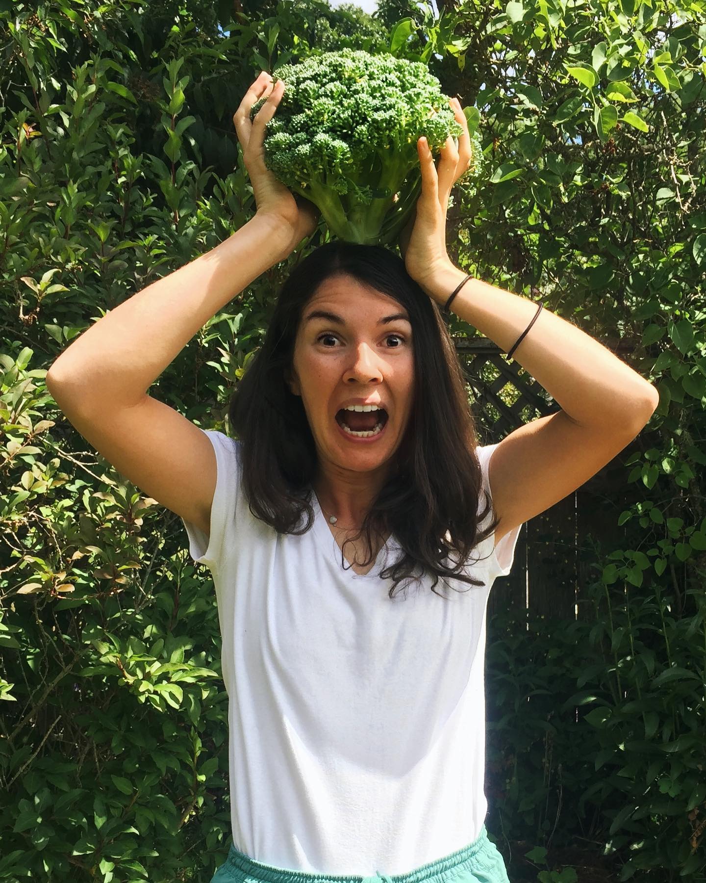 You are currently viewing Presenting my pride and joy – my broccoli